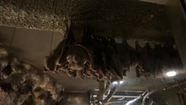 天王寺動物園に投稿された画像（2024/4/14）