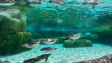 天王寺動物園に投稿された画像（2024/4/14）