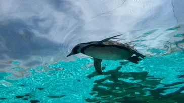 天王寺動物園に投稿された画像（2024/4/14）