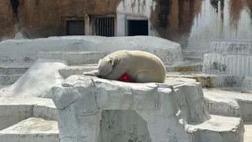 天王寺動物園に投稿された画像（2024/4/14）