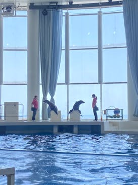 アクアワールド茨城県大洗水族館に投稿された画像（2024/4/14）