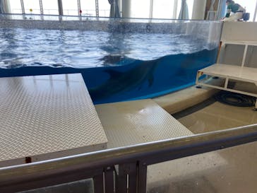 アクアワールド茨城県大洗水族館に投稿された画像（2024/4/14）