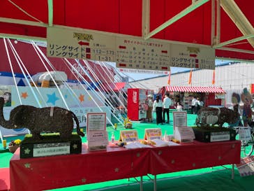 木下大サーカス大阪公演に投稿された画像（2024/4/14）