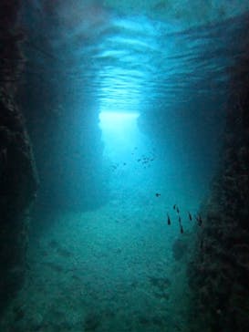 沖縄マリンサービス碧に投稿された画像（2024/4/14）