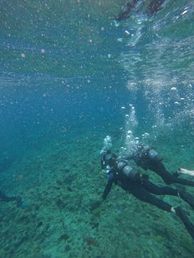 沖縄マリンサービス碧に投稿された画像（2024/4/14）