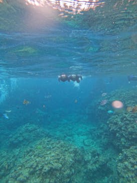 沖縄マリンサービス碧に投稿された画像（2024/4/14）