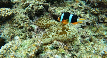 武藤潜水に投稿された画像（2024/4/14）