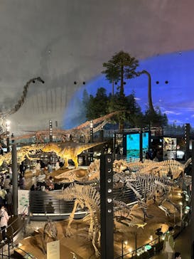 福井県立恐竜博物館に投稿された画像（2024/4/14）