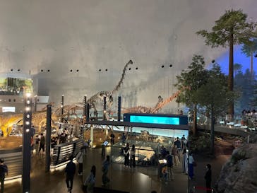 福井県立恐竜博物館に投稿された画像（2024/4/14）