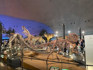 福井県立恐竜博物館に投稿された画像（2024/4/14）