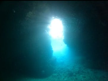 武藤潜水に投稿された画像（2024/4/14）