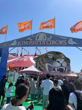 木下大サーカス大阪公演に投稿された画像（2024/4/14）