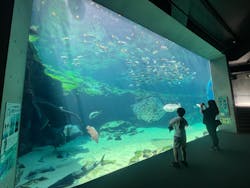 九十九島水族館海きららに投稿された画像（2024/4/14）