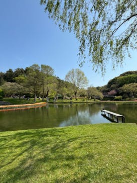 浜名湖花博2024に投稿された画像（2024/4/14）