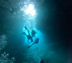 青の洞窟専門店　沖縄ダイビングショップ和に投稿された画像（2024/4/14）