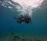 沖縄マリンサービス碧に投稿された画像（2024/4/14）