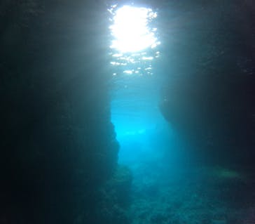 沖縄マリンサービス碧に投稿された画像（2024/4/14）