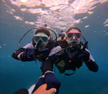 沖縄マリンサービス碧に投稿された画像（2024/4/14）