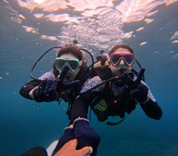 沖縄マリンサービス碧に投稿された画像（2024/4/14）