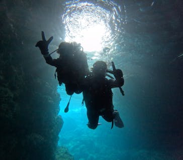 沖縄マリンサービス碧に投稿された画像（2024/4/14）