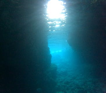 沖縄マリンサービス碧に投稿された画像（2024/4/14）