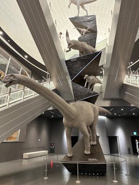 福井県立恐竜博物館に投稿された画像（2024/4/14）