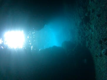 武藤潜水に投稿された画像（2024/4/14）