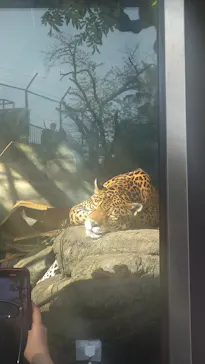 天王寺動物園に投稿された画像（2024/4/14）