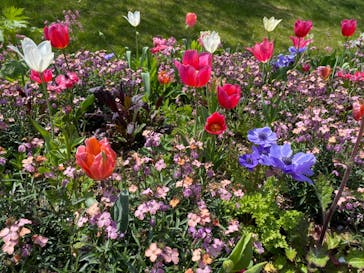 浜名湖花博2024に投稿された画像（2024/4/14）