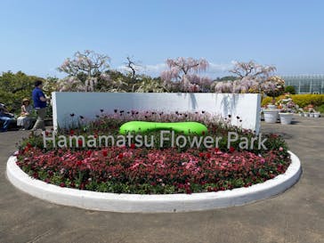浜名湖花博2024に投稿された画像（2024/4/14）