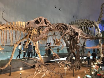 福井県立恐竜博物館に投稿された画像（2024/4/14）