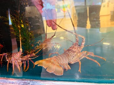 いきもの探検隊湘南に投稿された画像（2024/4/14）