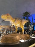 福井県立恐竜博物館に投稿された画像（2024/4/14）