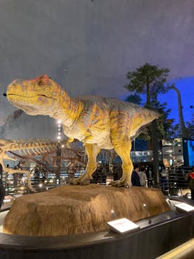 福井県立恐竜博物館に投稿された画像（2024/4/14）