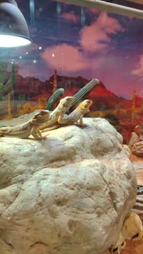 NARA IKIMONO MUSEUMに投稿された画像（2024/4/14）