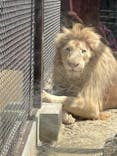 宇都宮動物園に投稿された画像（2024/4/14）