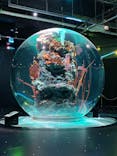 AQUARIUM × ART　atoaに投稿された画像（2024/4/14）