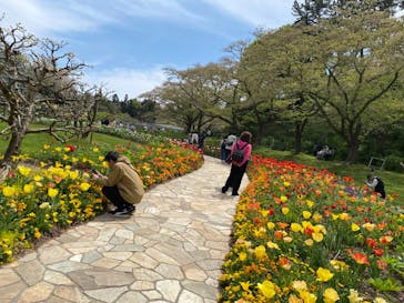 浜名湖花博2024に投稿された画像（2024/4/14）