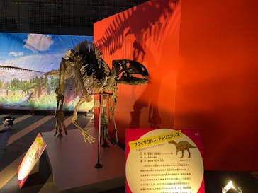 オダイバ恐竜博覧会2024 -福井から“ヤツラ”が新幹線でやってくる！-に投稿された画像（2024/4/14）