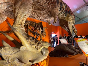 オダイバ恐竜博覧会2024 -福井から“ヤツラ”が新幹線でやってくる！-に投稿された画像（2024/4/14）