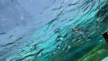 天王寺動物園に投稿された画像（2024/4/14）