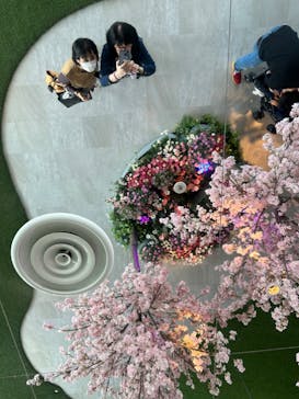 サンシャイン60展望台に投稿された画像（2024/4/14）