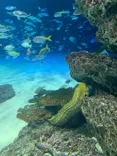 サンシャイン水族館に投稿された画像（2024/4/14）