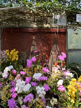 浜名湖花博2024に投稿された画像（2024/4/14）