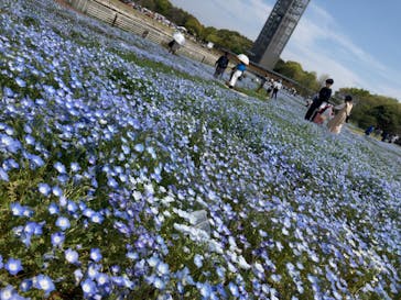 浜名湖花博2024に投稿された画像（2024/4/14）