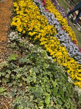 浜名湖花博2024に投稿された画像（2024/4/14）