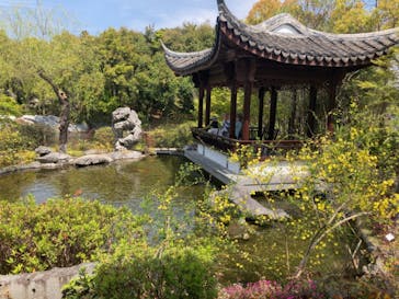 浜名湖花博2024に投稿された画像（2024/4/14）