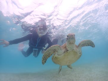 タビワク　宮古島に投稿された画像（2024/4/14）