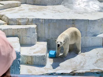 天王寺動物園に投稿された画像（2024/4/14）