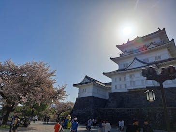 小田原城に投稿された画像（2024/4/14）